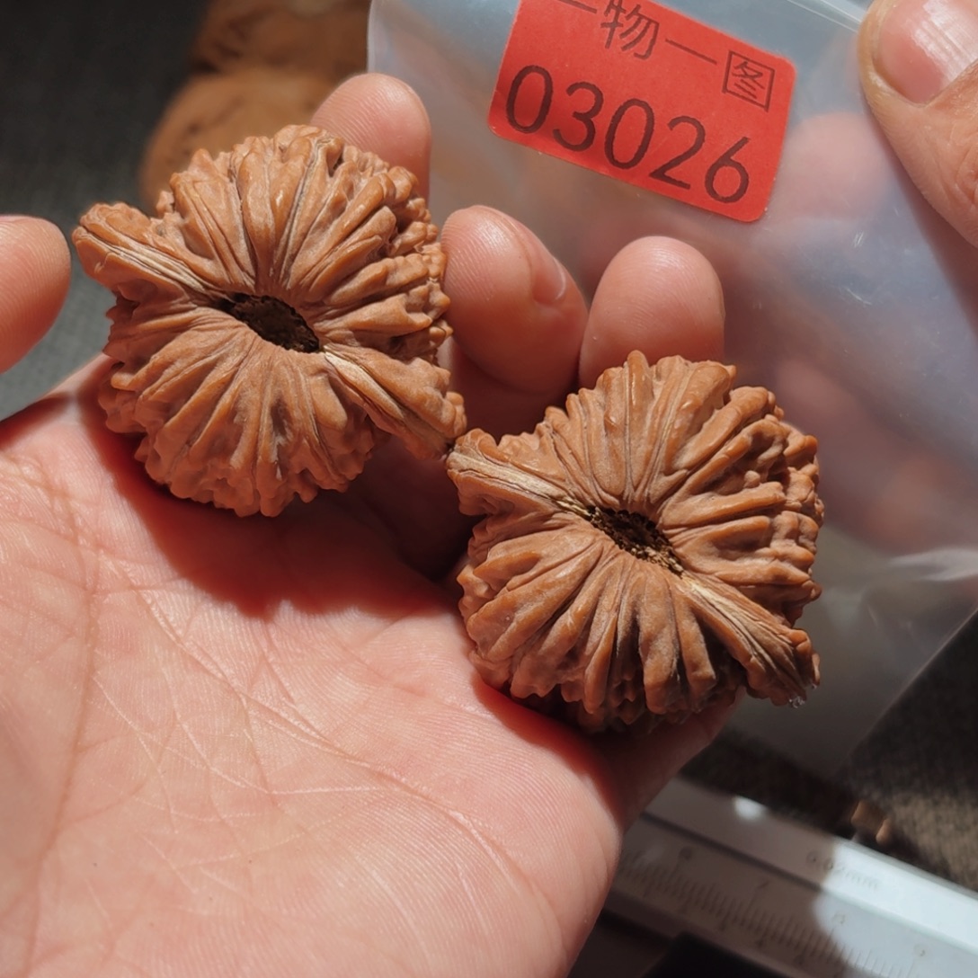 文玩核桃把件楼楼楼