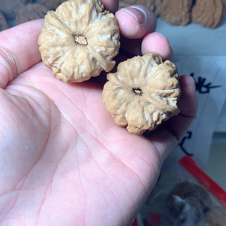 练手蛤蟆头39/40有水尖