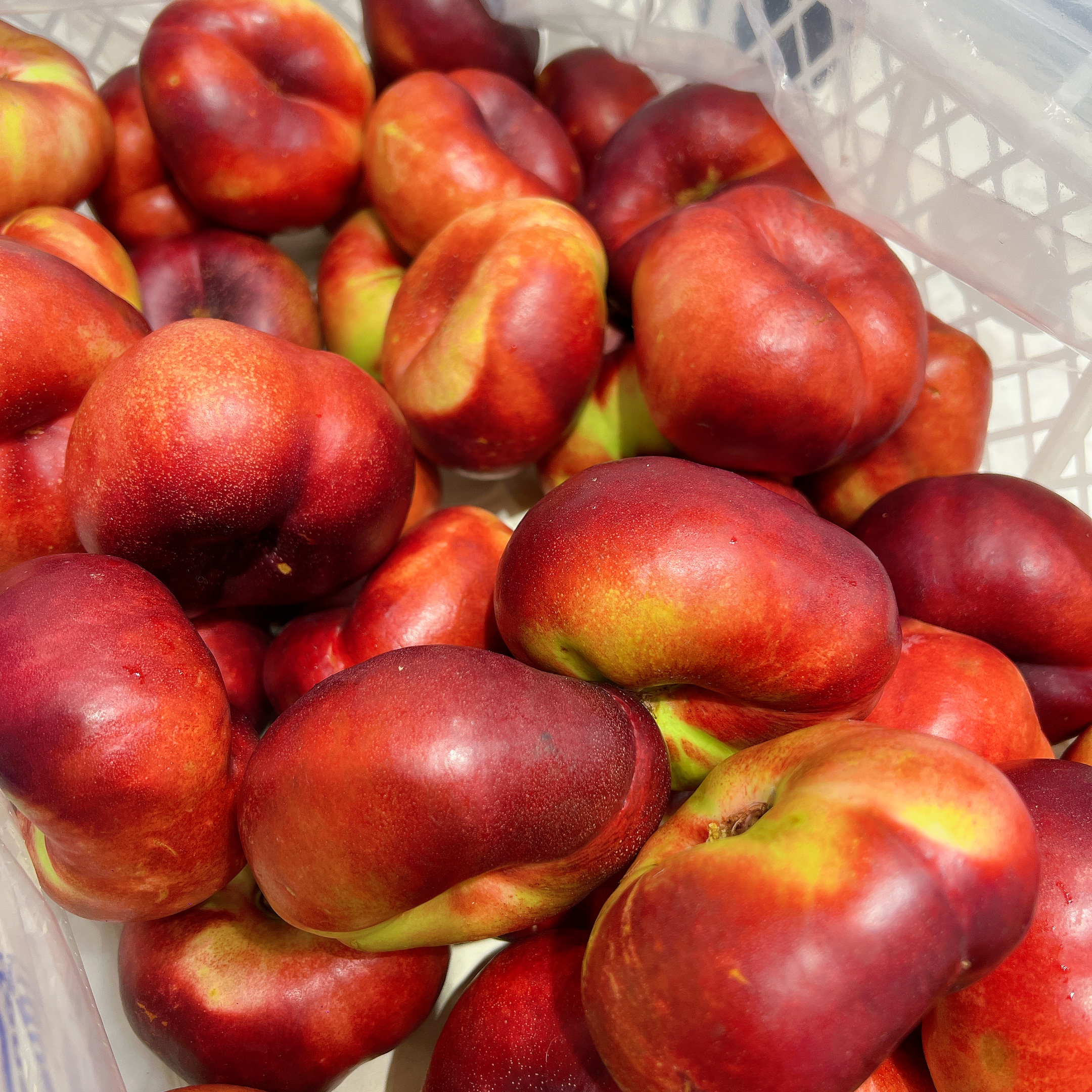 澳洲进口油蟠桃24.9/斤