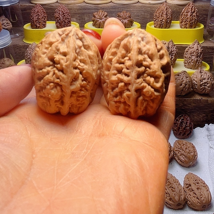 核桃33号车珊瑚纹