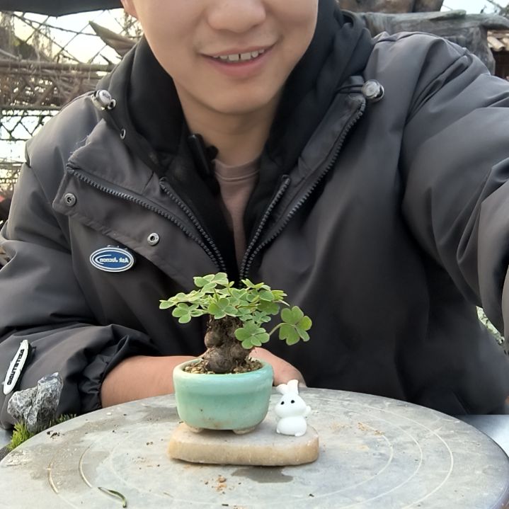 手****基小盆景小植物一物一拍86