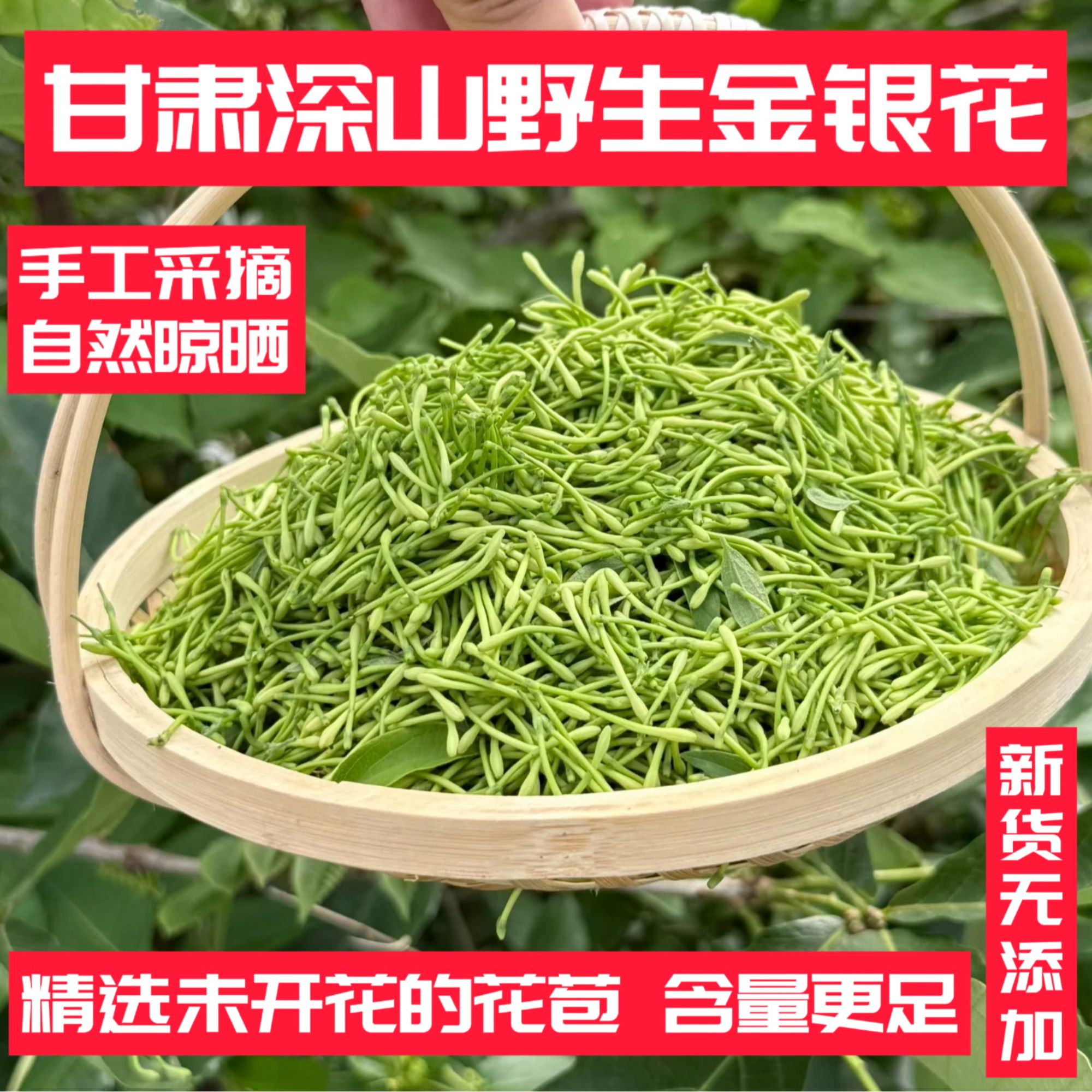 甘肃深山采摘野生金银花无硫新货太阳晾晒泡水煮水