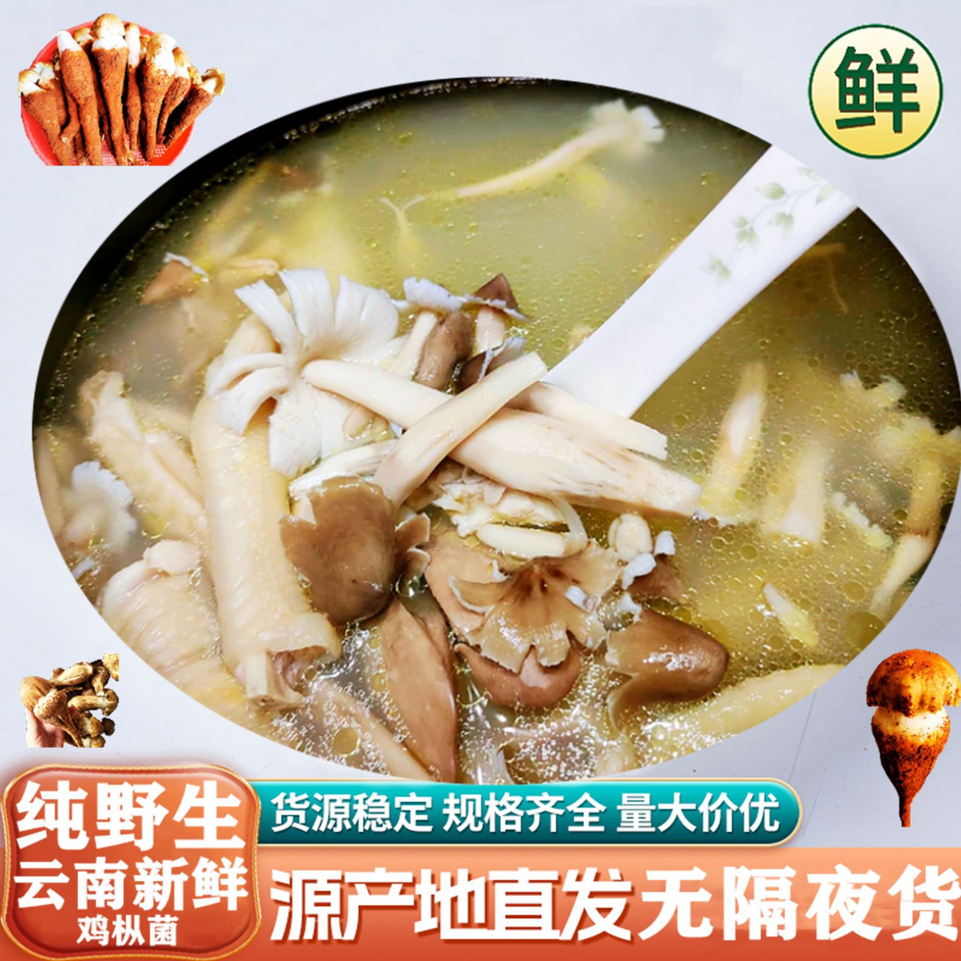 Z野生云南新鲜独鸡枞菌花炸油鸡枞食用特级油鸡枞酱下饭菜供应椒