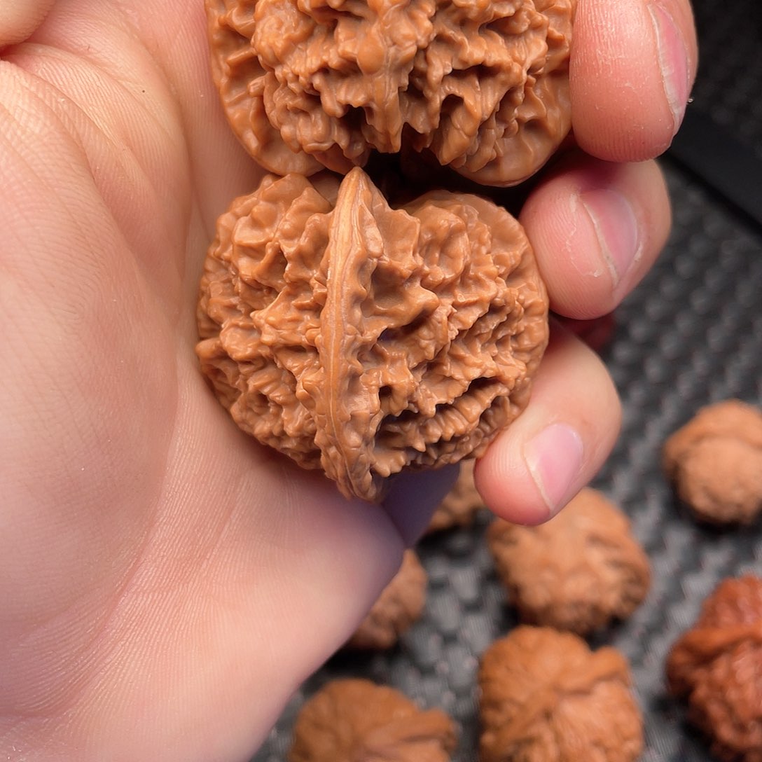 大叶紫檀（黑酸枝木类）知*