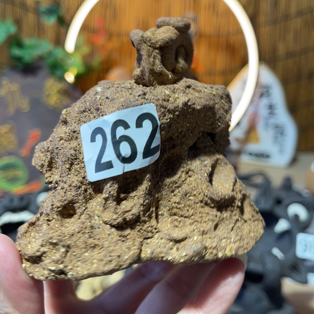 木村信弘柴烧保平