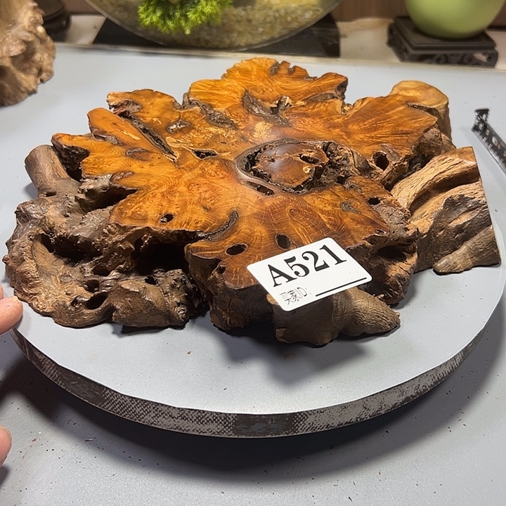 风***亮大果紫檀（缅甸花梨）