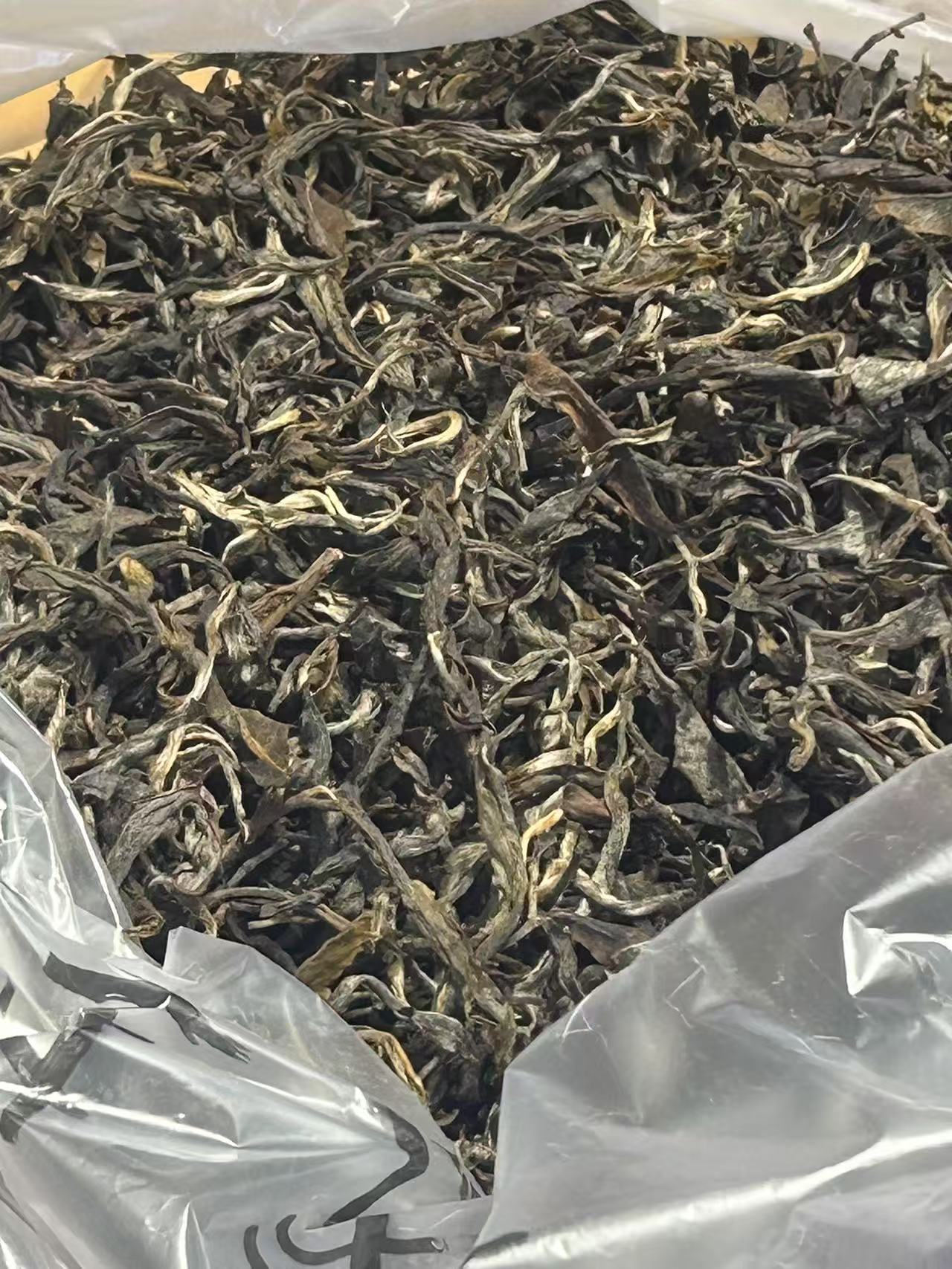  普洱茶 1998年散茶50克 12月19日 （358号）