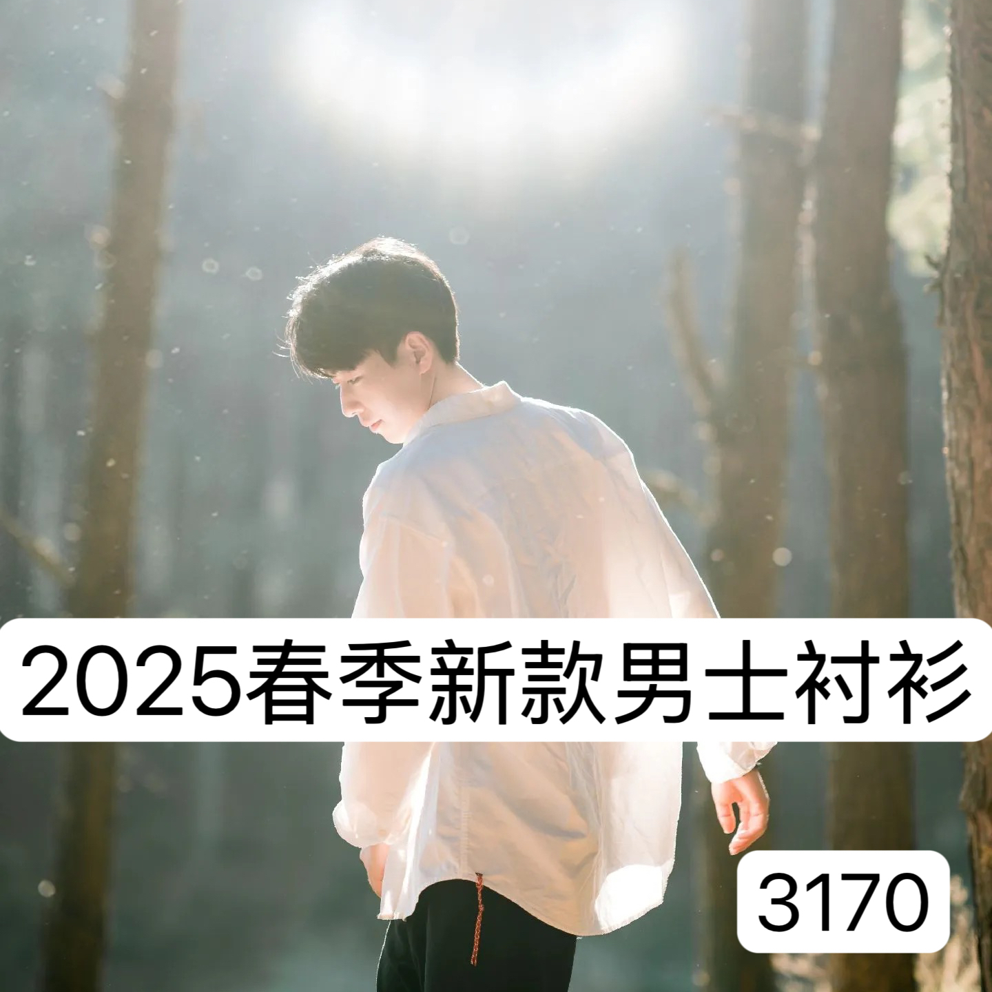 【ZYT】3170-春季新款男士休闲百搭上衣修身打底衬衫上衣 2-24A