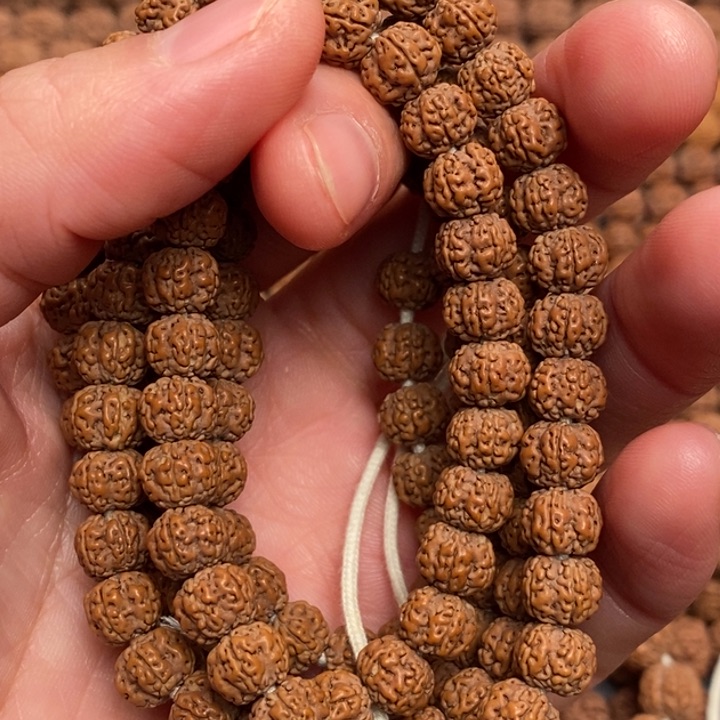 菩提?****?老树梅花小金刚