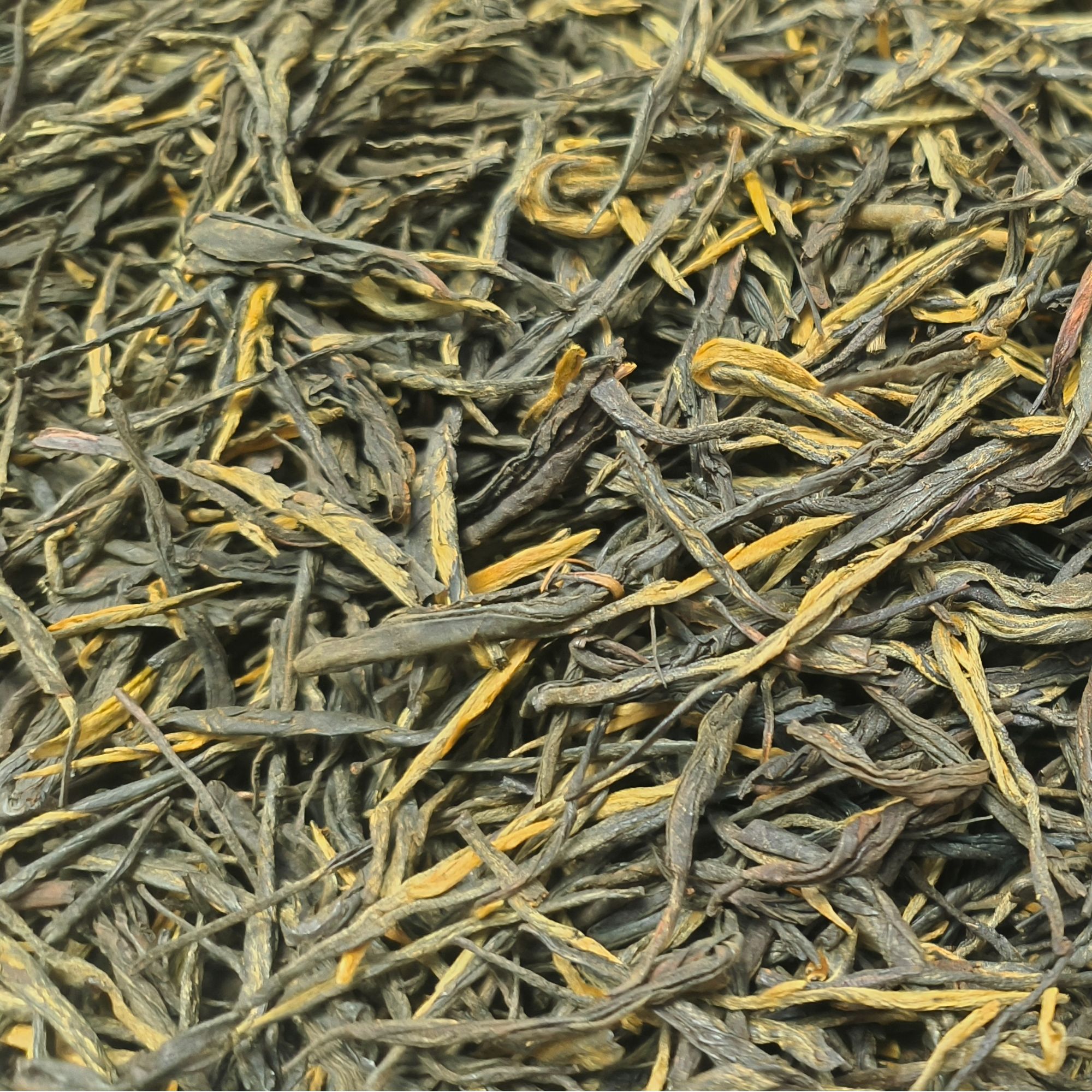 手工茶叶采摘特级浓醇老品种袋装散茶春茶松针