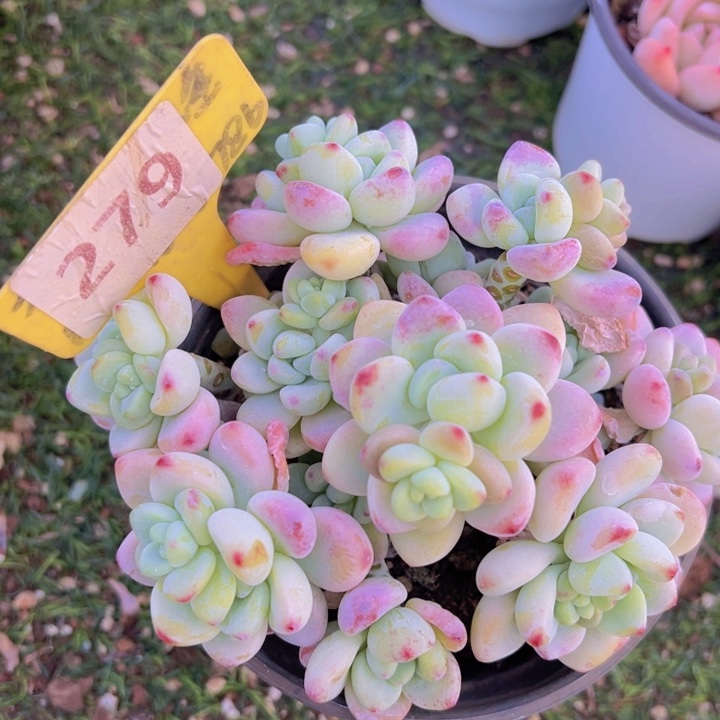 ，健健康康平平安安