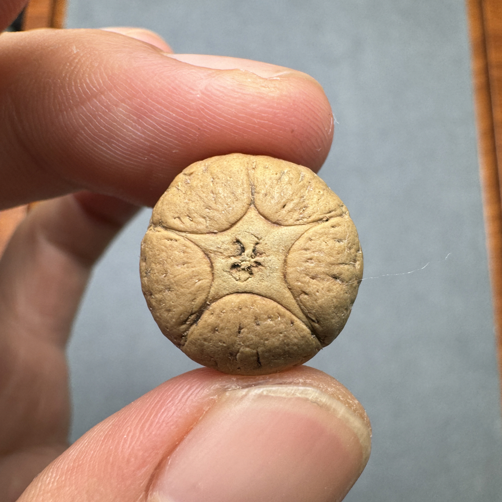 特价17+五星上将菩提凤眼菩提三通佛头，非质量问题开孔不退cj2500