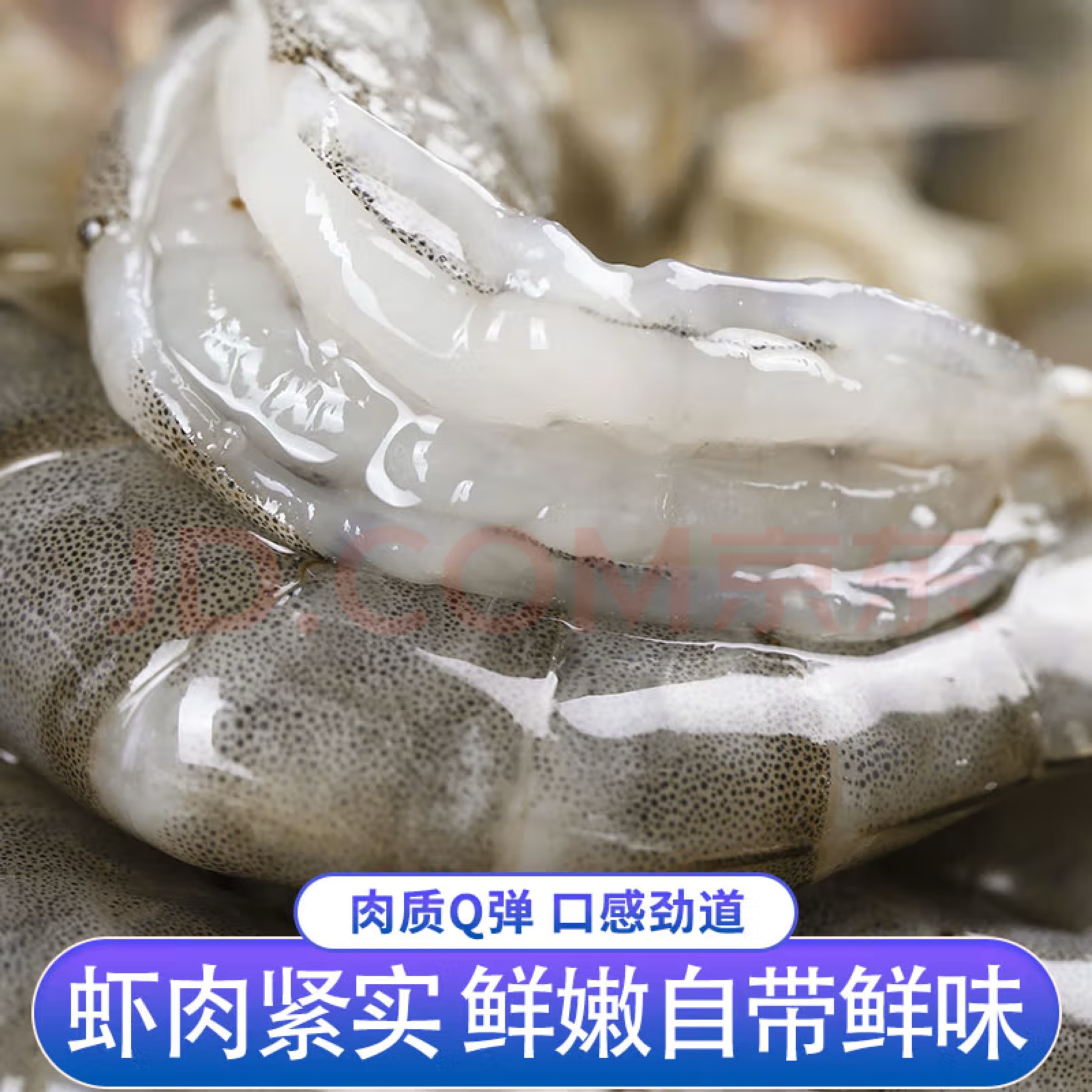 新鲜大虾鲜活超大基围虾生鲜青岛海虾冷冻白虾对虾海鲜水产G