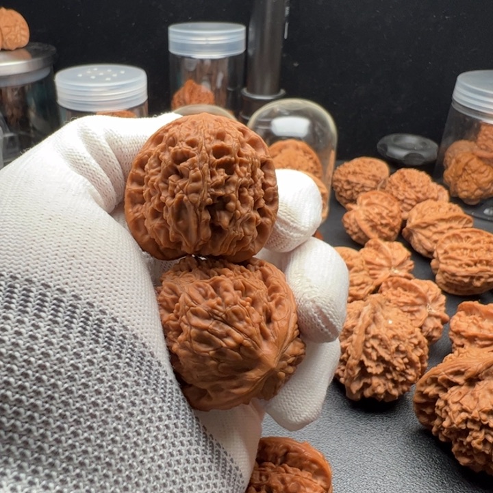 文玩核桃把件踏***脚39水尤已打底