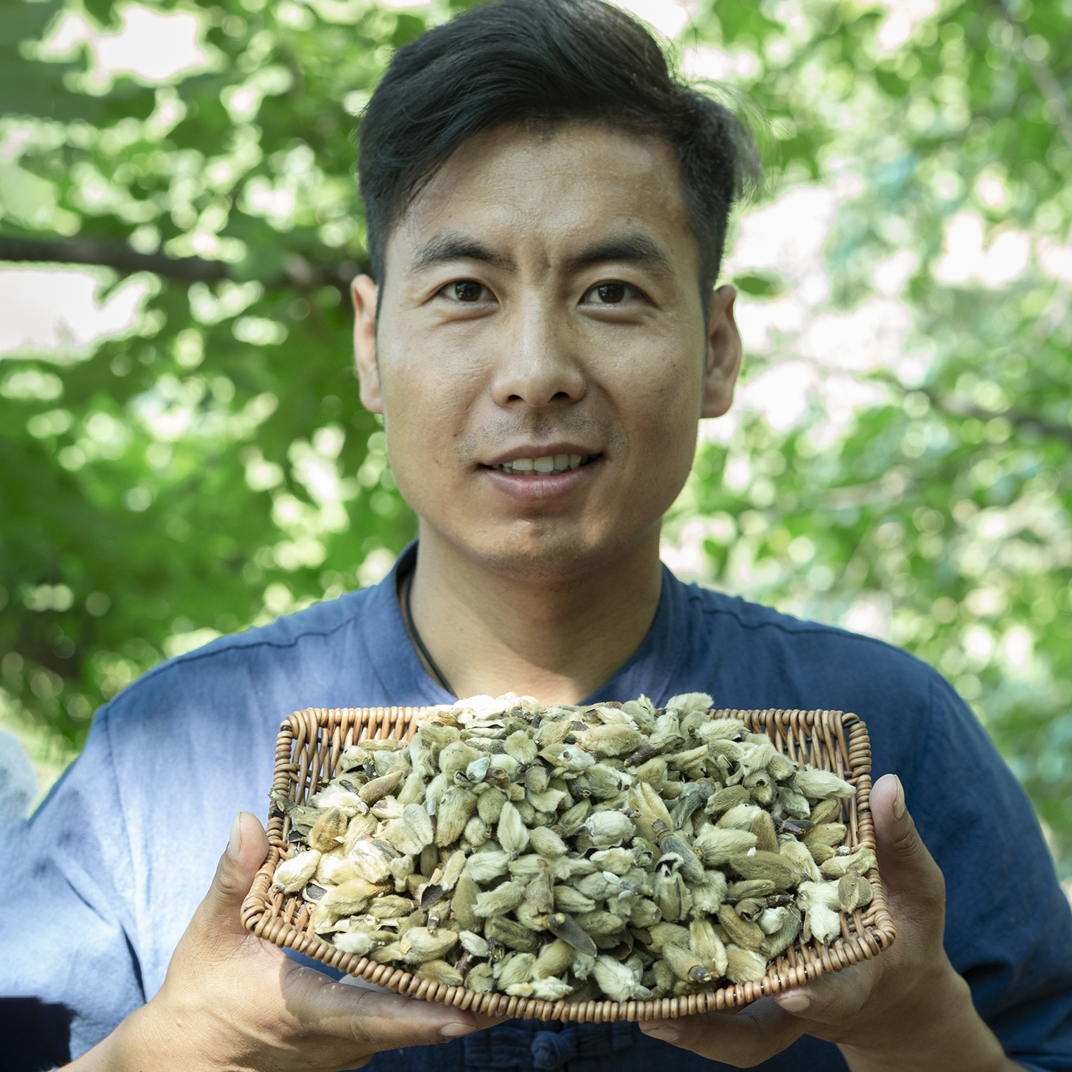 【曹探本草】无硫辛夷花四川绵阳辛夷花精选正宗香料搭配肉桂