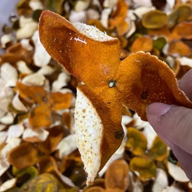 【福利款】广西浦北2025年二红皮50- 55果又称茶枝柑 ，天然生晒