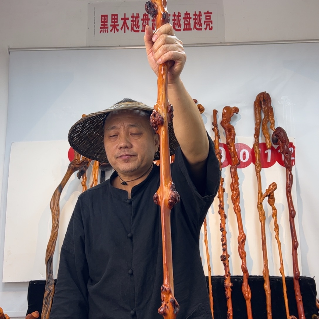 小***龙黑果木其他黑果木728