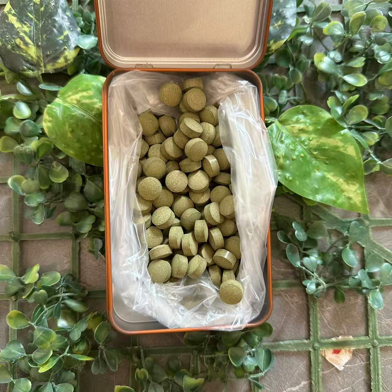  雨腾古茶  Y圣“三十六J回S大圆M”千W倍60g/盒（12月14）