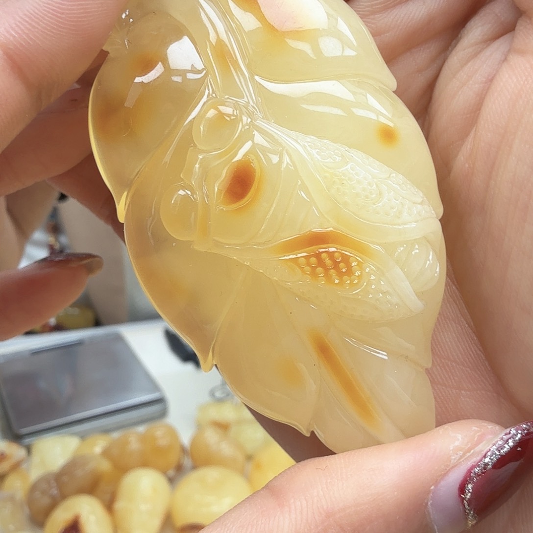 琥珀裸石未镶嵌……