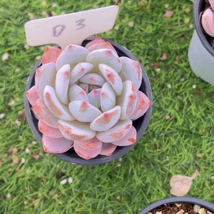 健健康康平平安安