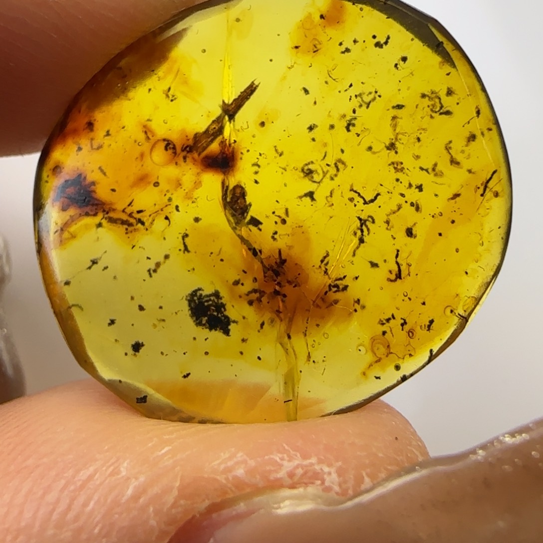 琥珀裸石未镶嵌蝉