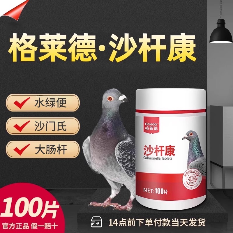 格莱德沙杆康鸽子沙门氏菌信鸽专用调理腹泻拉稀水绿便肠道非鸽药