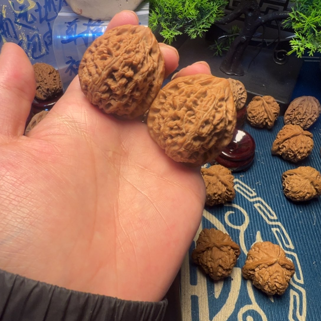 38尺全品无修水龙纹