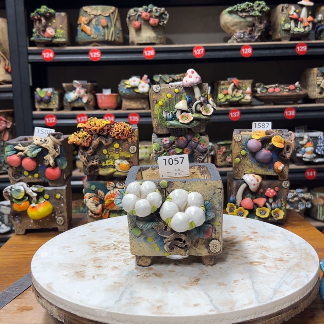 红陶1057 口9高10