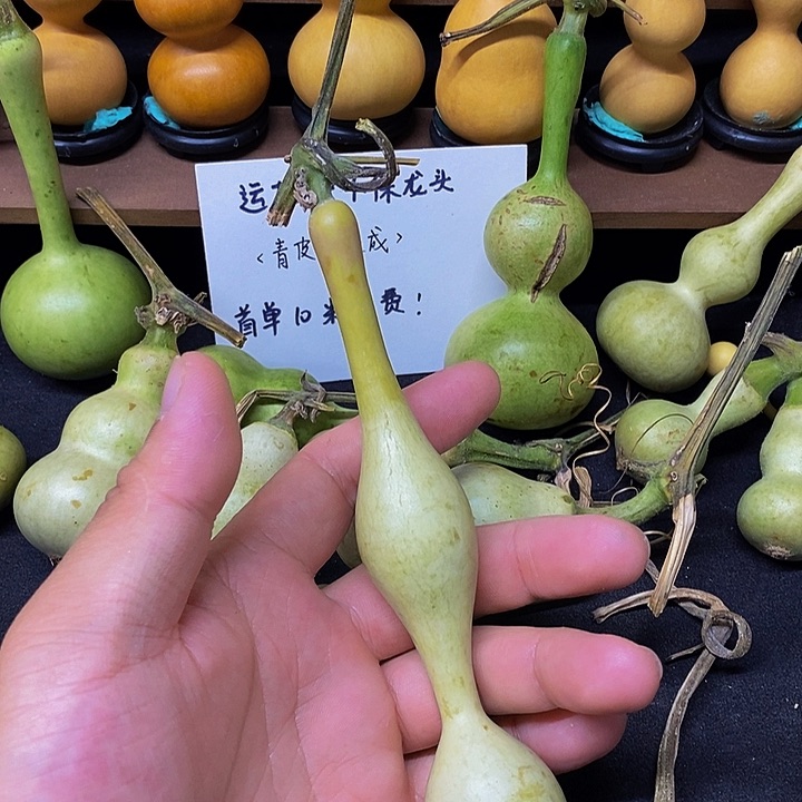 四**光长嘴哈哈哈哈哈哈哈哈哈哈哈哈太