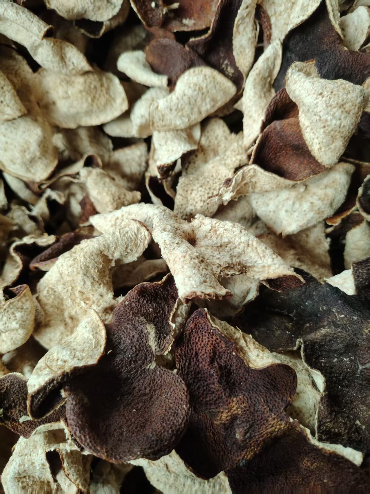 2023年，大片厚实，果农直发，半斤装