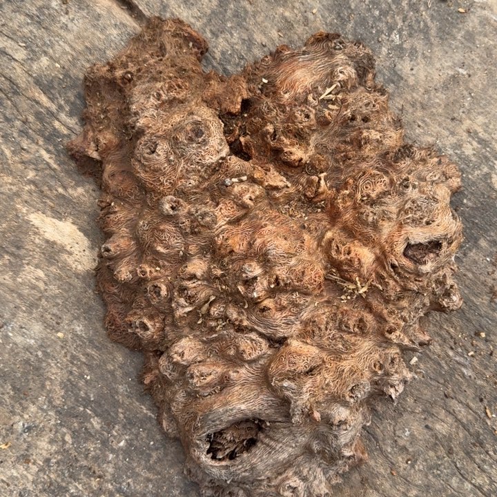 鑫****9紫砂啦啦啦啦啦啦啦啦