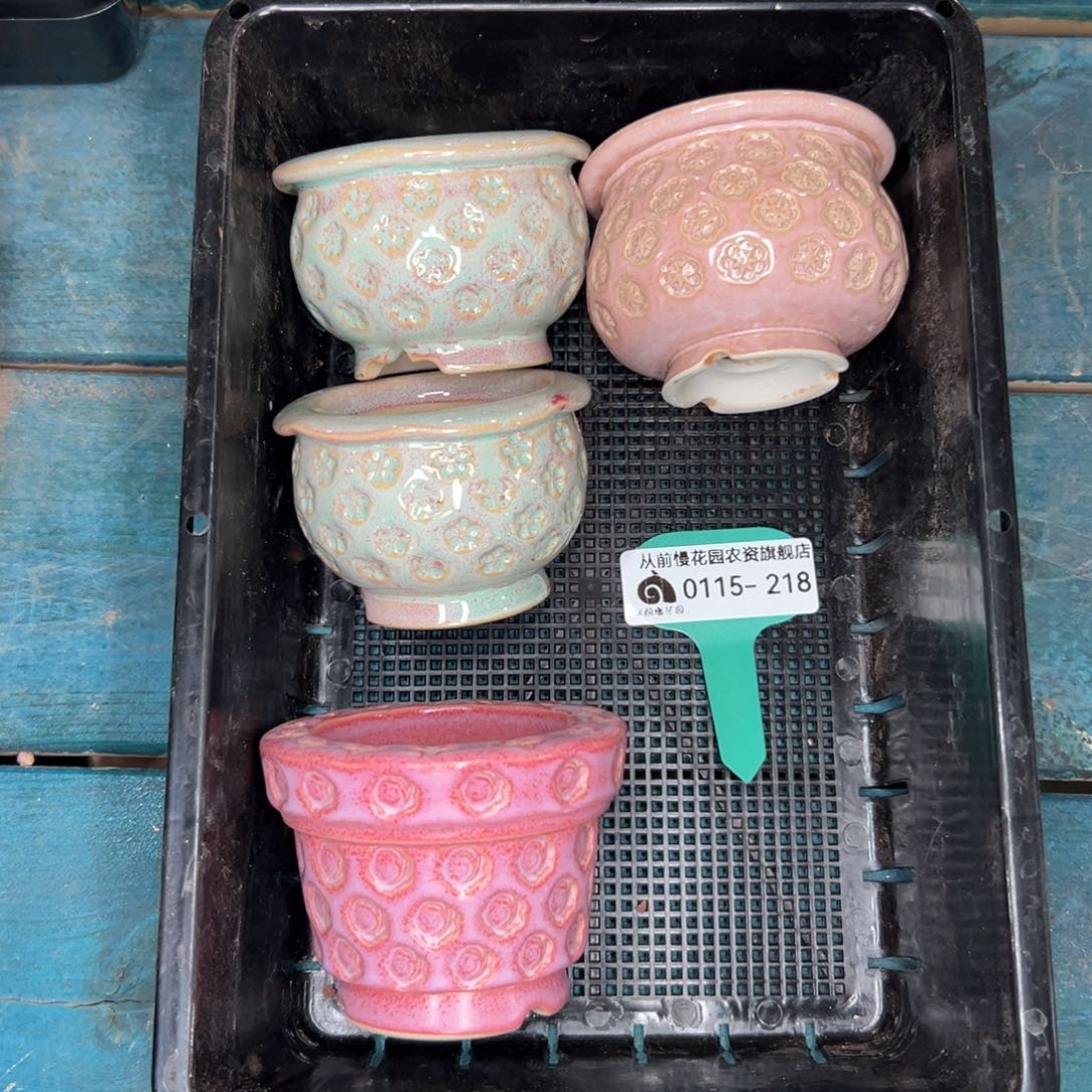 何*多肉精选编号0115.218