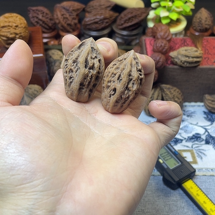 n***o核桃东北楸子龙脊3