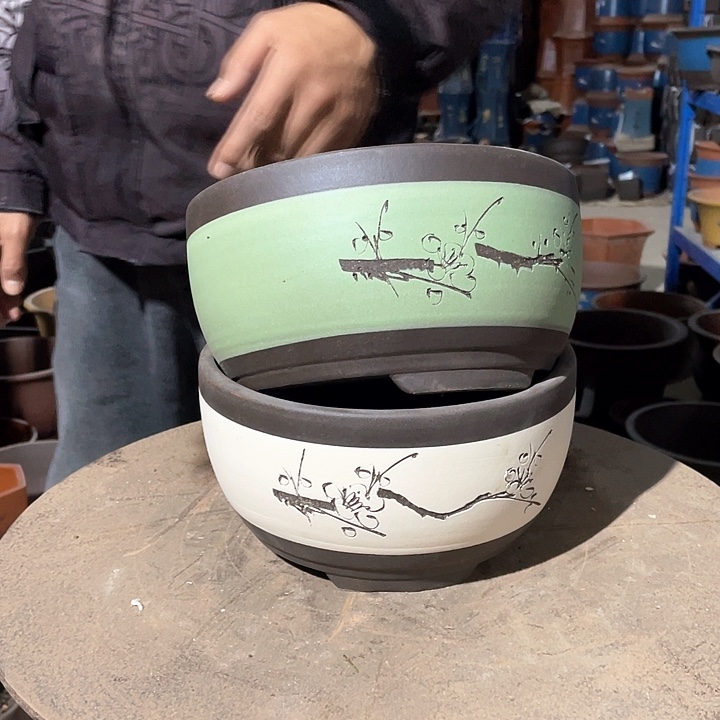 紫砂白+绿绿萝小一对