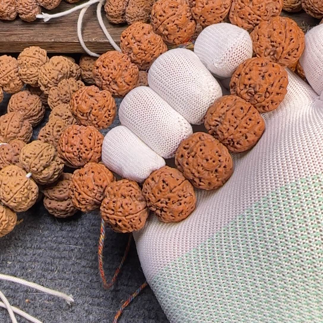 菩提金刚菩提23梅花