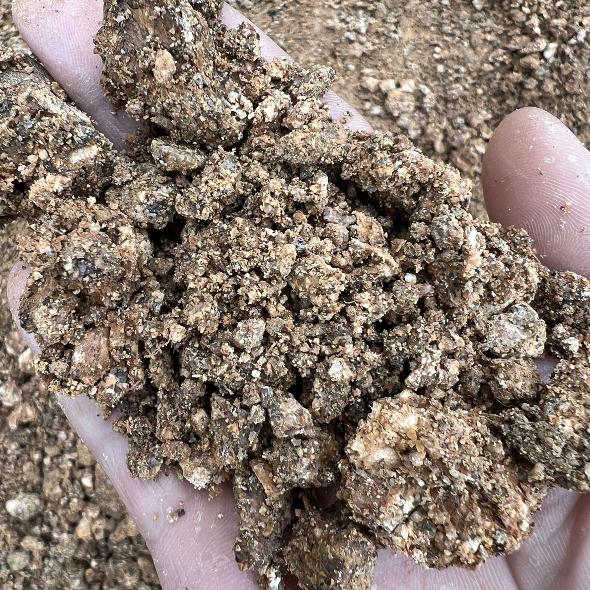 生桩移栽种植用疏松透气风化土沙大小颗粒不板结易生根透水不积水