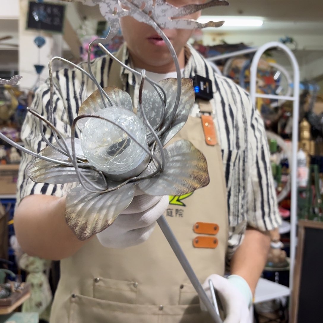 核桃木/黑胡桃（胡桃木）