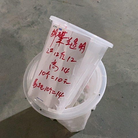 树脂蝴蝶兰透明2#无托10