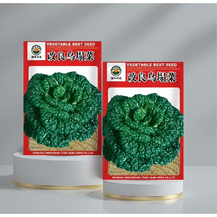 【全店满5元包邮】绿色乌塌菜种子易活青菜紫苏蔬菜种籽秋冬季菜籽