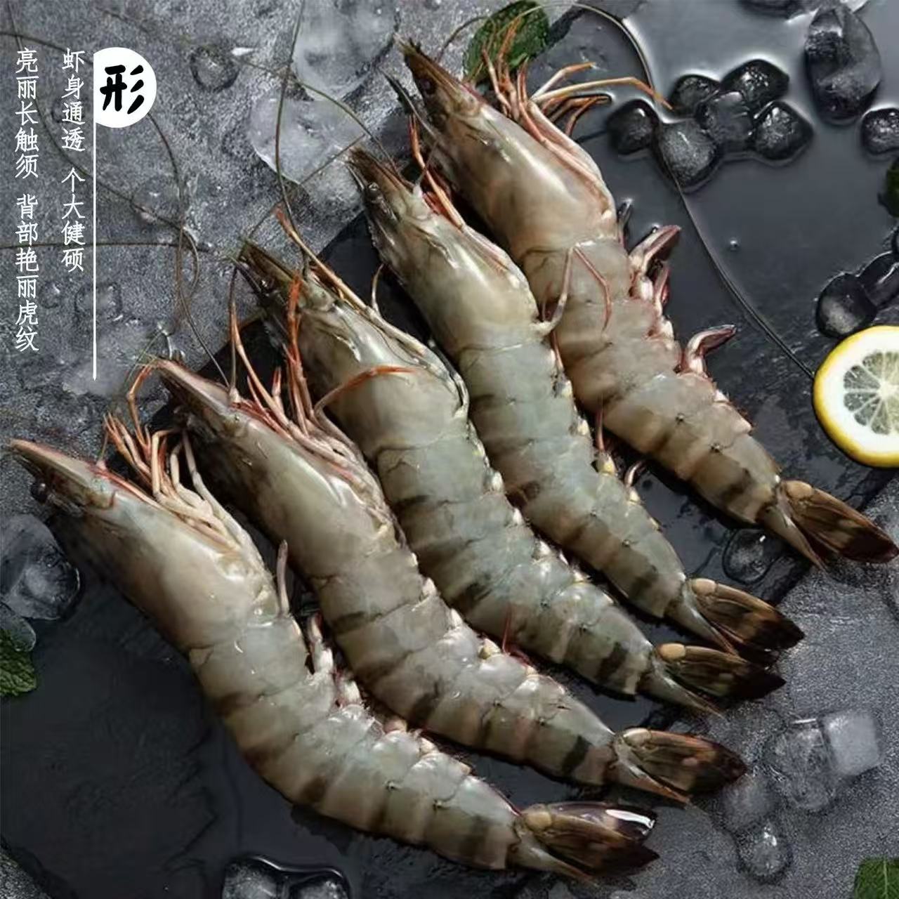 30-40大号海洋海水大虾黑虎虾对虾单只鲜甜盐冻虾