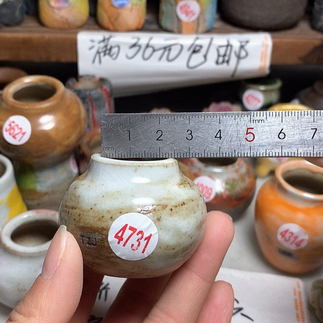 红陶拍5送一个小