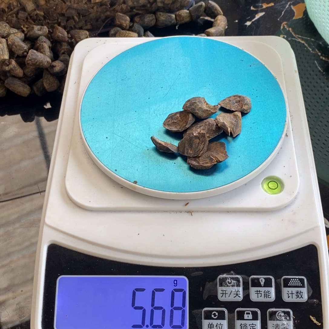 万***倒沉香碎屑沉香沉水虎斑紫奇壳子料