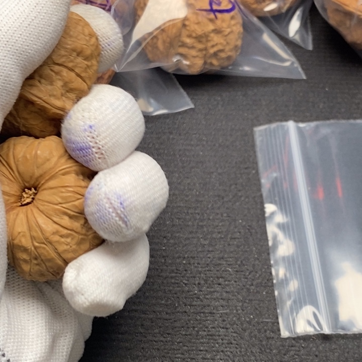 文玩核桃把件树*南瓜墩