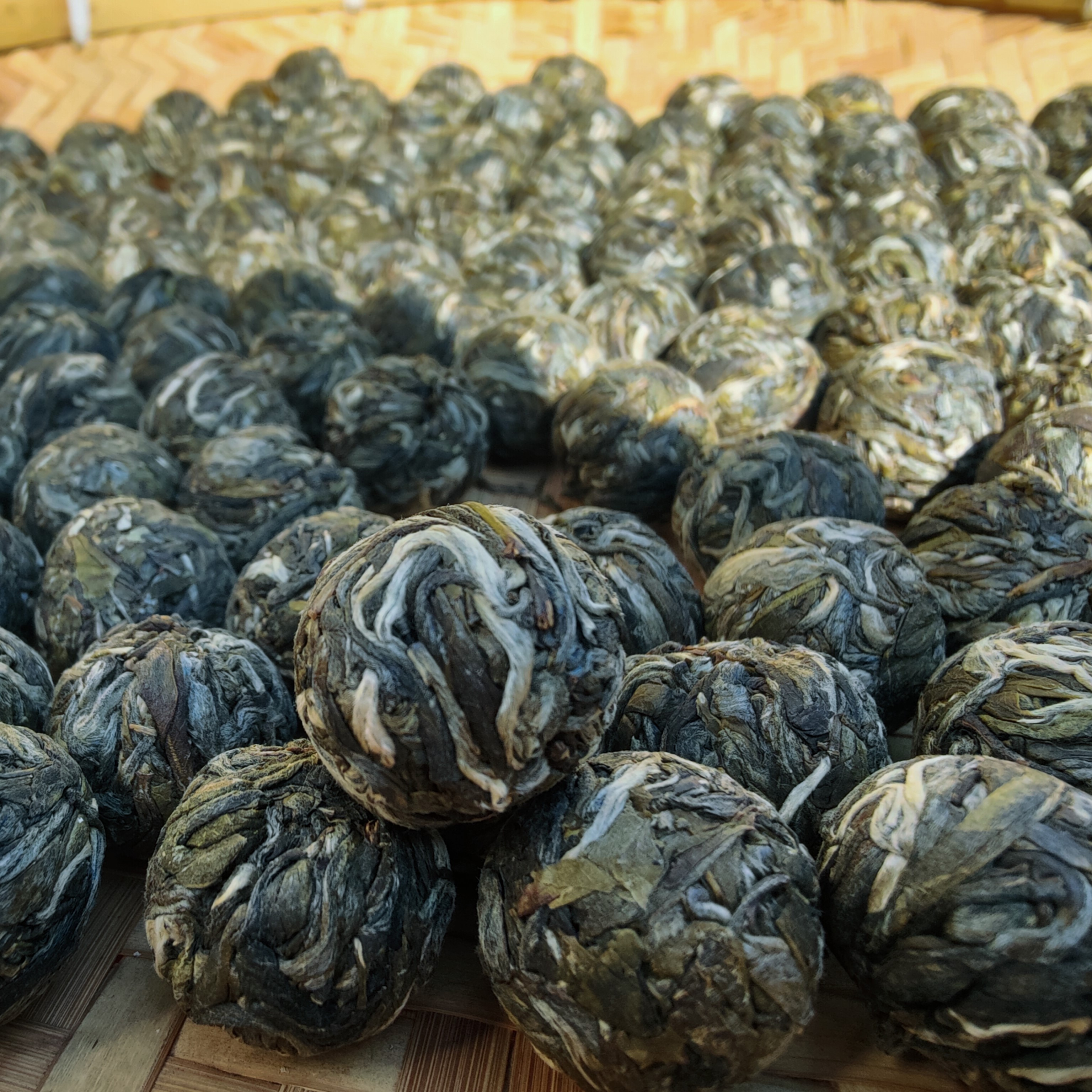 【老班章四十号】2023年老班章春茶混采龙珠