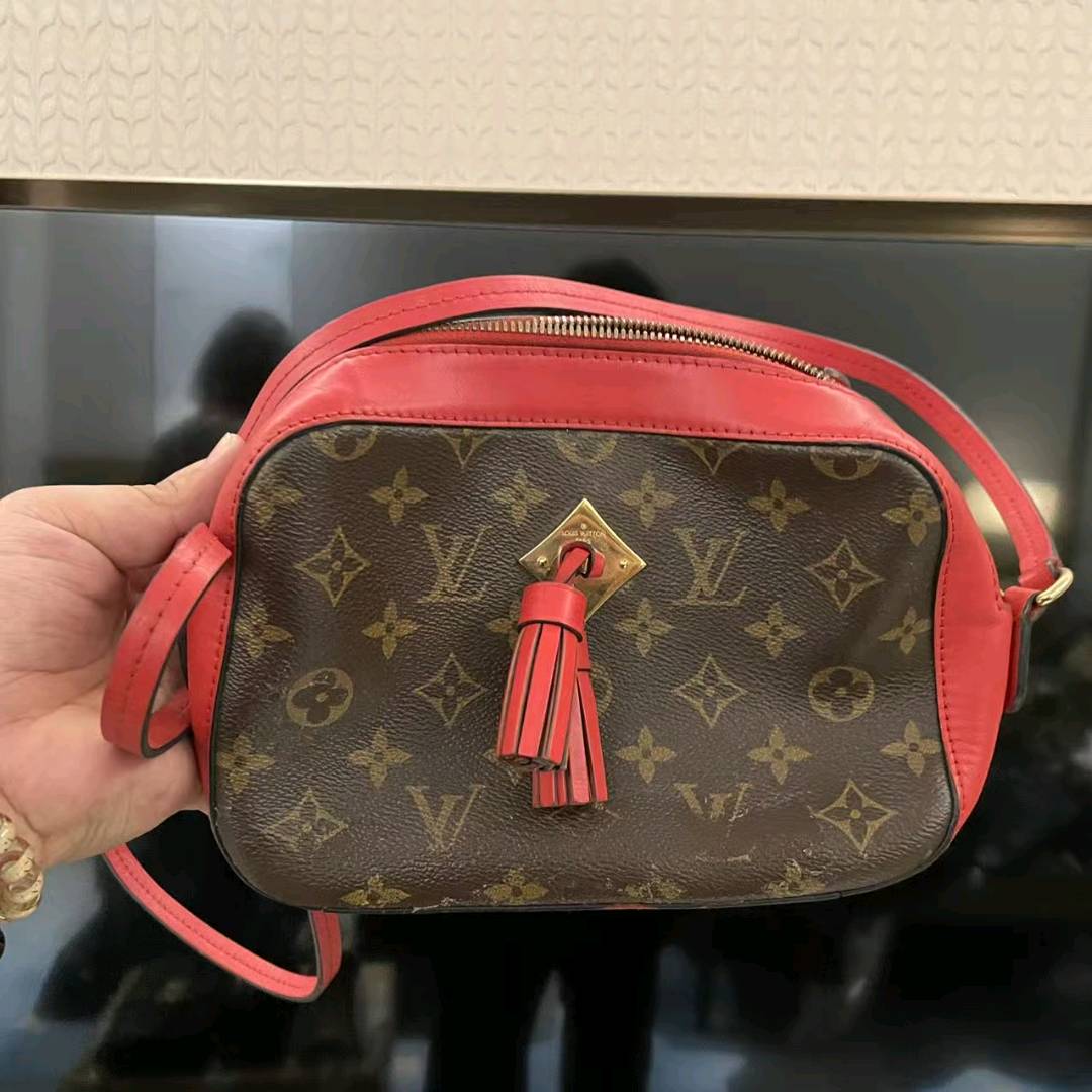 95新 LouisVuitton/路易威登 小野专属/单肩包/DY7913
