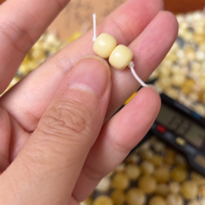 蜜蜡未镶嵌裸石8mm一对