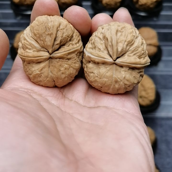 文玩核桃吊坠@***风云铁堂臻选文玩核桃