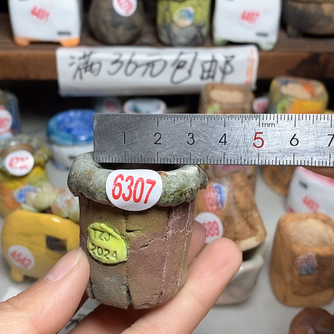 红陶拍5送一个小