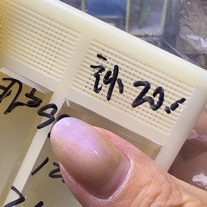 用***7哈哈哈哈哈哈哈哈哈哈