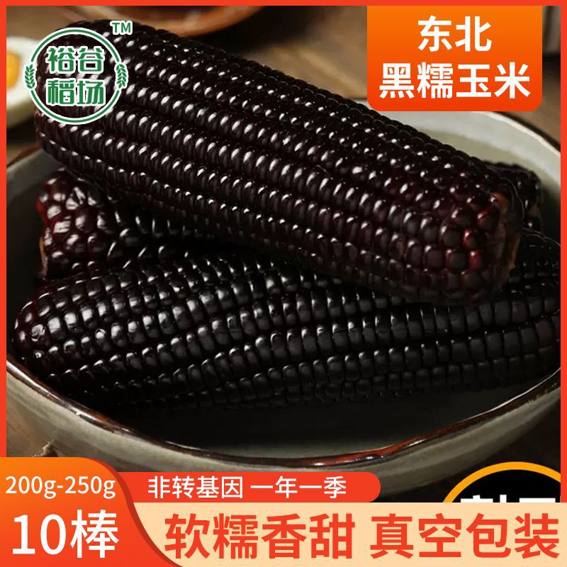 黑玉米糯玉米新鲜现摘10根装软糯香甜黏玉米棒子代餐独立装
